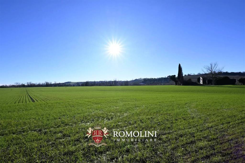 terreno agricolo in vendita ad Osimo