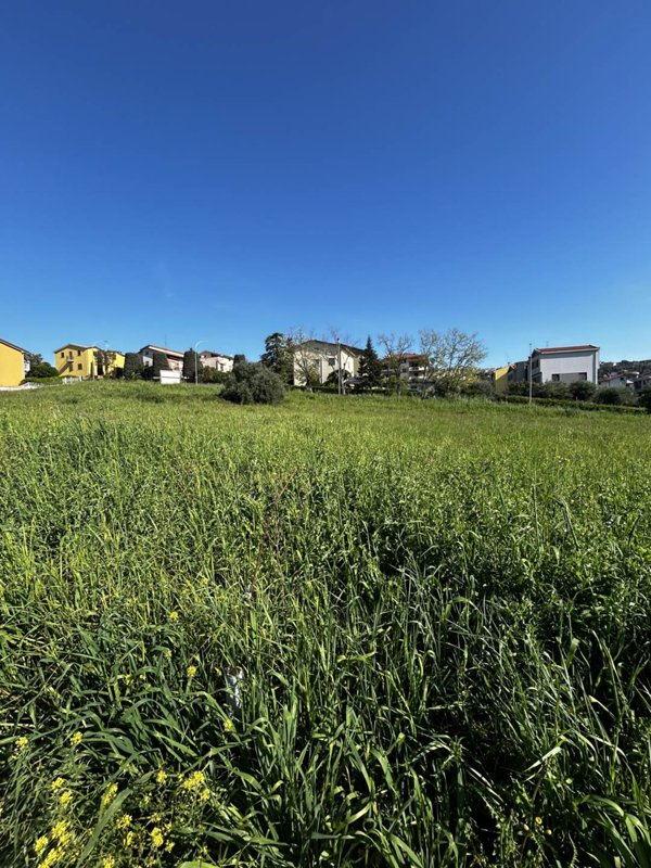 terreno agricolo in vendita ad Osimo in zona Campocavallo