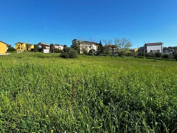 terreno agricolo in vendita ad Osimo in zona San Sabino