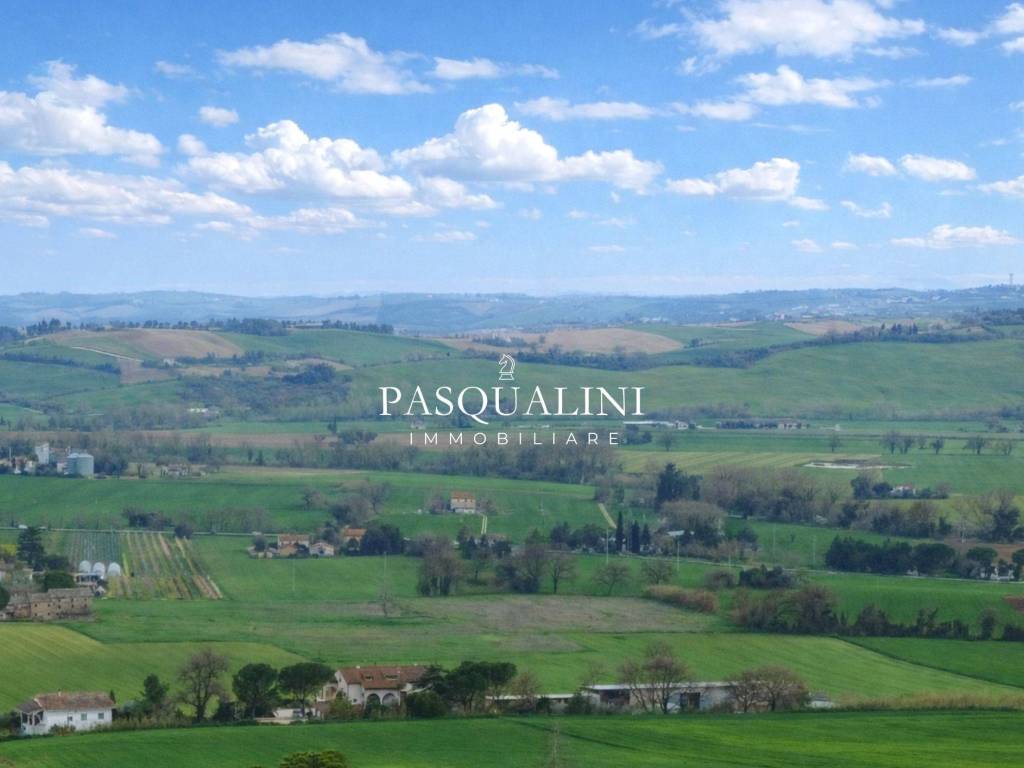 terreno agricolo in vendita ad Osimo