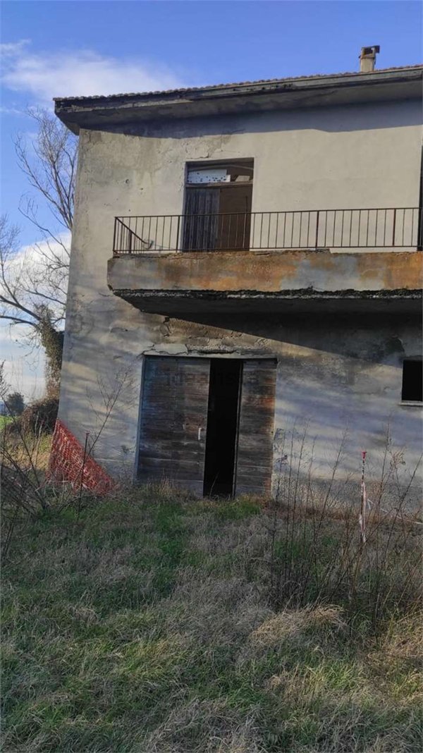esavano in vendita ad Osimo in zona Campocavallo