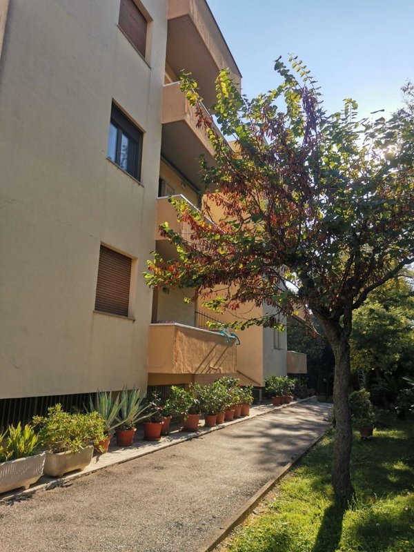 appartamento in vendita ad Osimo