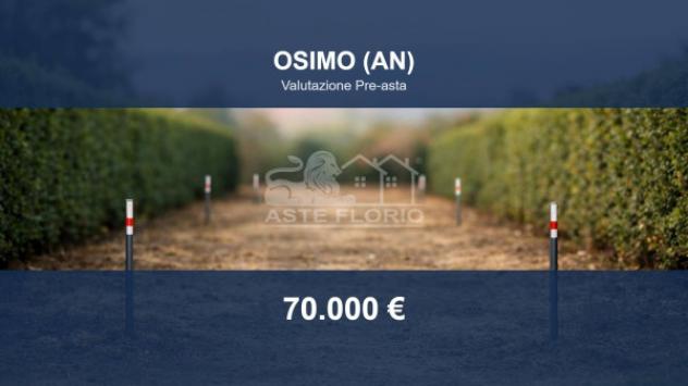 terreno agricolo in vendita ad Osimo