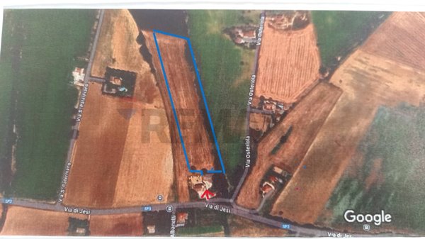 terreno agricolo in vendita ad Osimo