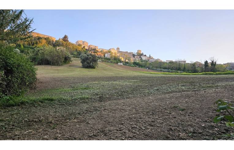terreno agricolo in vendita ad Osimo