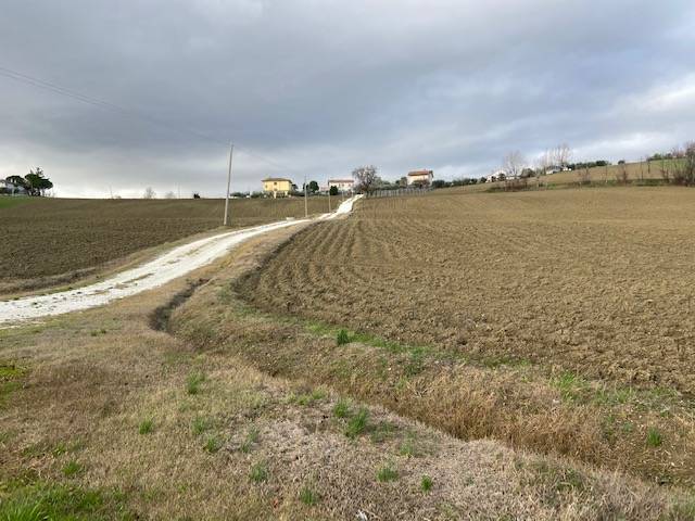 casa indipendente in vendita ad Ostra