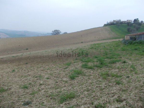 casa indipendente in vendita ad Ostra