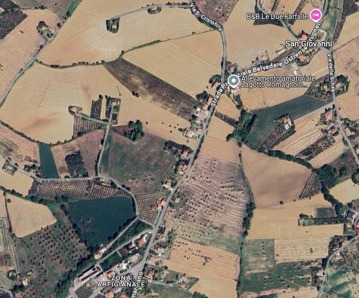appartamento in vendita ad Ostra