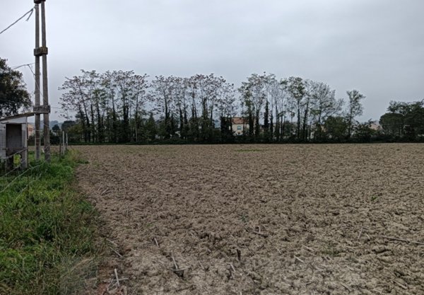 terreno edificabile in vendita ad Ostra