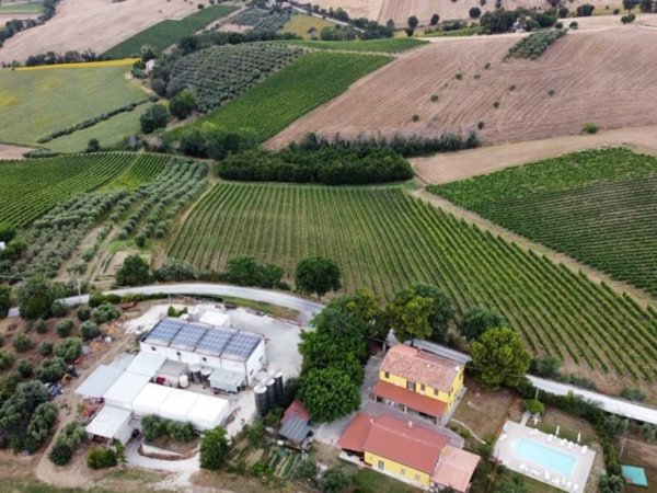 terreno agricolo in vendita ad Ostra