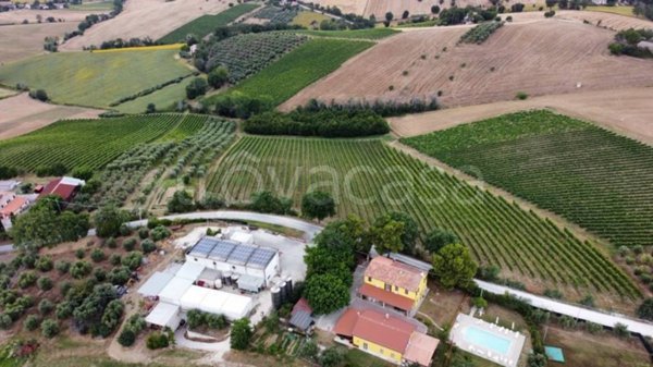terreno agricolo in vendita ad Ostra