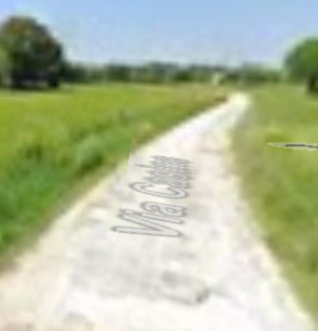 terreno agricolo in vendita ad Ostra