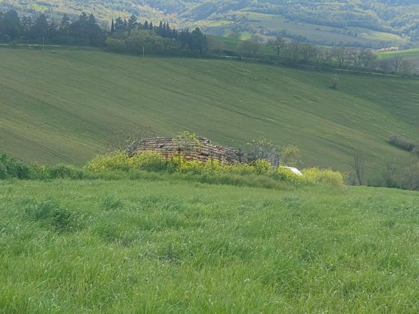 casale in vendita ad Ostra