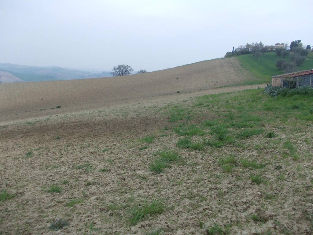 casa indipendente in vendita ad Ostra