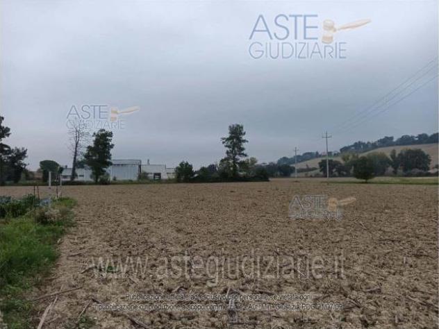terreno agricolo in vendita ad Ostra