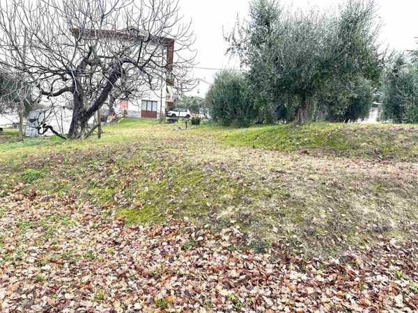 terreno agricolo in vendita ad Ostra