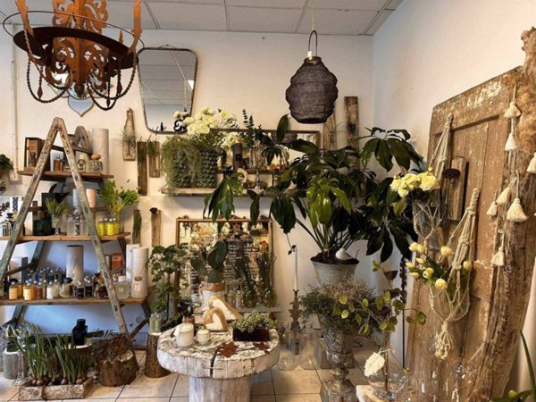 negozio in vendita ad Ostra