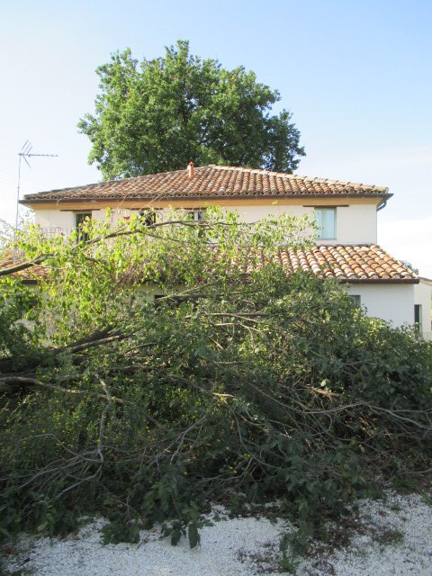 casa indipendente in vendita ad Ostra