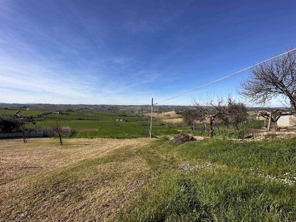 terreno agricolo in vendita ad Ostra