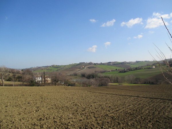 casale in vendita ad Ostra