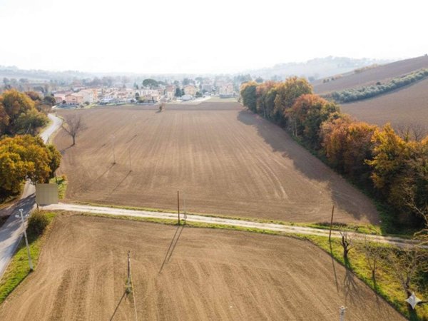 terreno agricolo in vendita ad Ostra