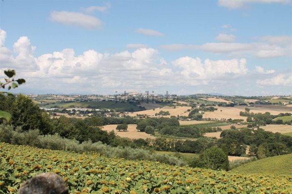 terreno agricolo in vendita ad Ostra