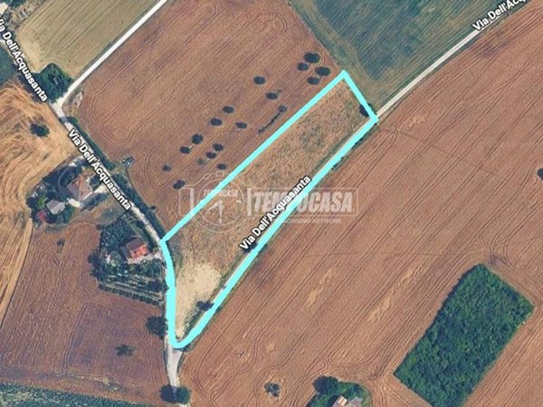 terreno agricolo in vendita ad Ostra