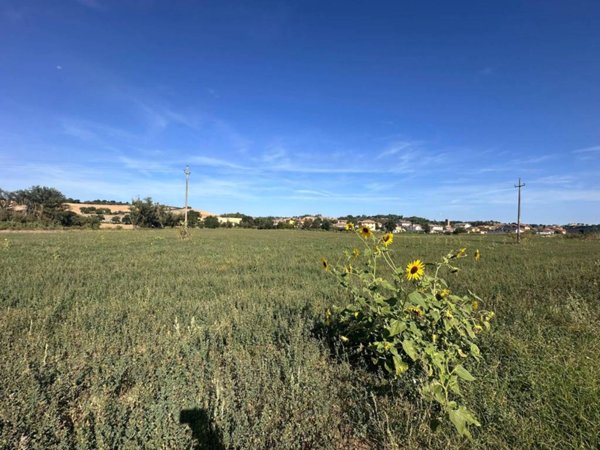 terreno in vendita ad Ostra