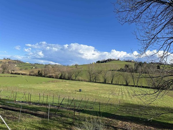 terreno in vendita ad Ostra