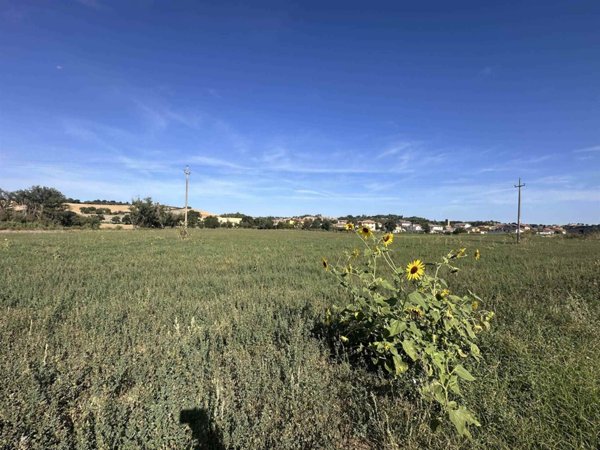 terreno in vendita ad Ostra