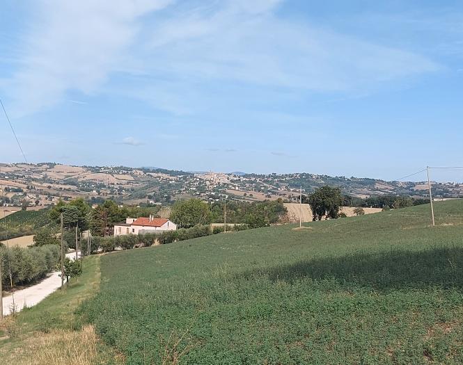 azienda agricola in vendita ad Ostra Vetere