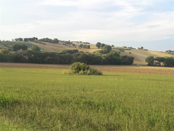 ufficio in vendita ad Ostra Vetere in zona Pongelli