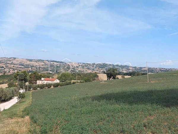 azienda agricola in vendita ad Ostra Vetere