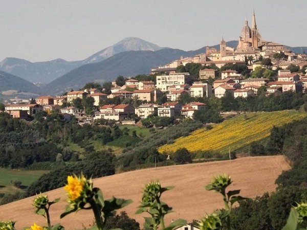terreno agricolo in vendita ad Ostra Vetere