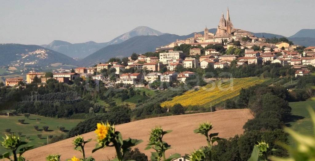 casa indipendente in vendita ad Ostra Vetere