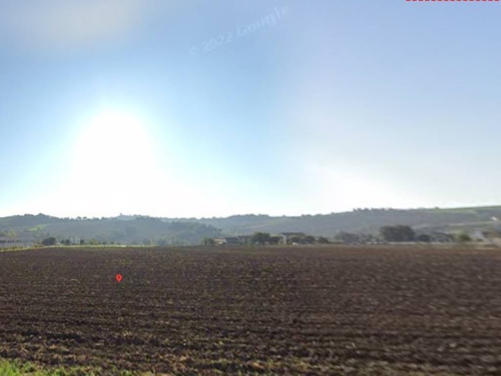 terreno agricolo in vendita ad Ostra Vetere