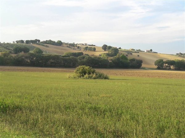 ufficio in vendita ad Ostra Vetere