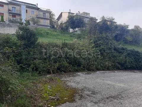 terreno agricolo in vendita ad Ostra Vetere