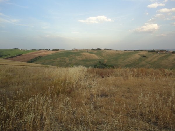 terreno agricolo in vendita a Poggio San Marcello in zona Coste