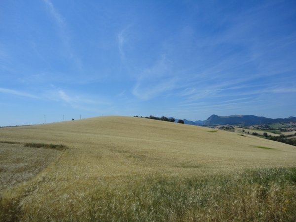 terreno agricolo in vendita a Poggio San Marcello