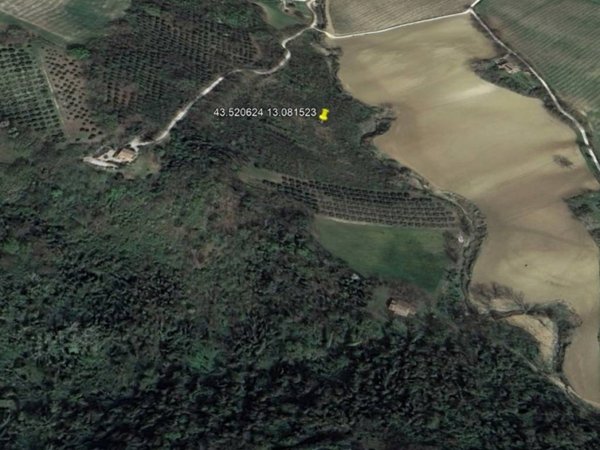 terreno agricolo in vendita a Poggio San Marcello