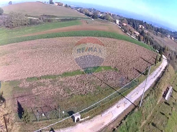 terreno agricolo in vendita a Poggio San Marcello
