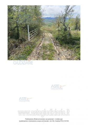 terreno agricolo in vendita a Poggio San Marcello in zona Gioncare