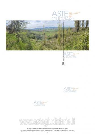 terreno agricolo in vendita a Poggio San Marcello in zona Gioncare