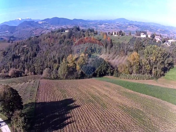 terreno agricolo in vendita a Poggio San Marcello