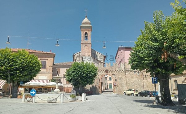 esavano in vendita a Poggio San Marcello