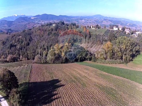 terreno agricolo in vendita a Poggio San Marcello