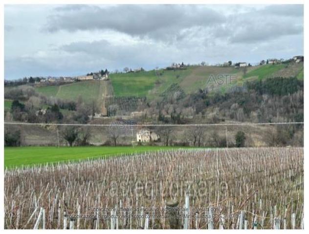 terreno agricolo in vendita a Poggio San Marcello in zona Gioncare