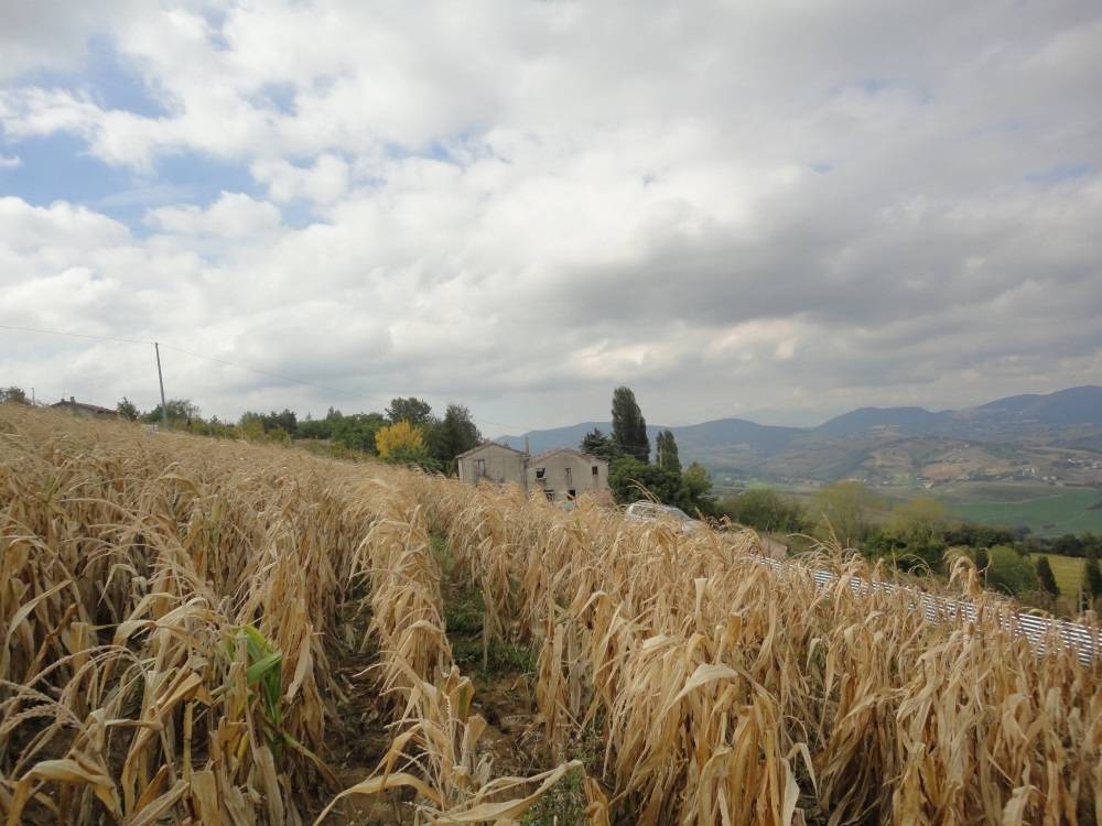 casa indipendente in vendita a Poggio San Marcello