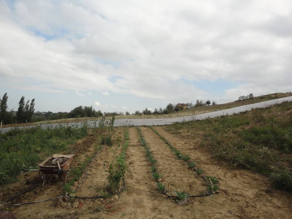 casa indipendente in vendita a Poggio San Marcello